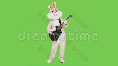 <strong>吉他</strong>手在复活节兔子真人大小的西装播放有趣的音乐<strong>吉他</strong>上色度键，绿色屏幕。 可爱的<strong>吉他</strong>手