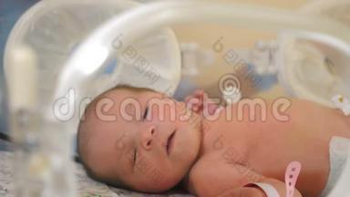 医疗理念。新生儿呼吸快而频繁，新生儿出生第一天在育婴室接受孵化器护理