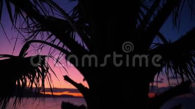 棕榈树剪影在海上日落背景。 塞浦路斯岛海岸。 夜间或夜间景观