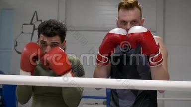 两名拳击手戴着红色拳击手套在拳击俱乐部的拳击台上摆姿势。 拳击手站在拳击场上的战斗姿势