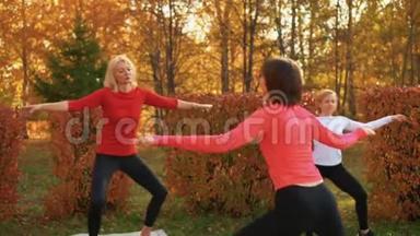 秋季公园的成人女子培训港。 健身妇女练习瑜伽体式户外训练。 瑜伽妇女