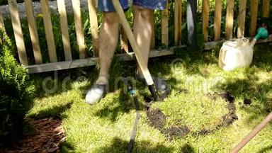 一个穿短裤，光着腿的男人正在绿色草坪上挖一个洞，用铲子在花园里植树。 园艺