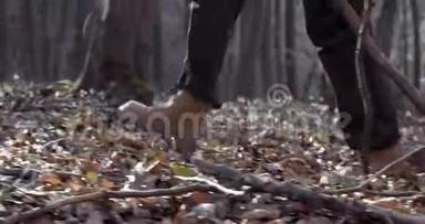 游客穿着徒步旅行的鞋子在森林里散步