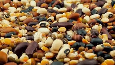 粗粮混合豆类种子食品有机顶景质地，五豆，辅食，高蛋白健康食品