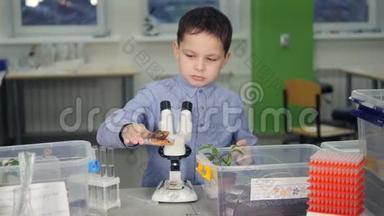在学校做生物学<strong>实验</strong>的年轻科学家。