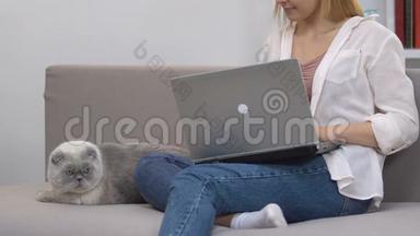 坐在沙发上用笔记本电脑工作的女孩，抚摸猫放松，抗压力的小<strong>贴士</strong>
