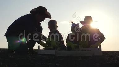 家庭幸福。 收获团队合作。 日落时分，一家人在田野里收获土豆。 农业经营理念。 农场