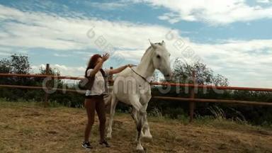 带着一匹马在户外上课，一个女人教一匹种马背。