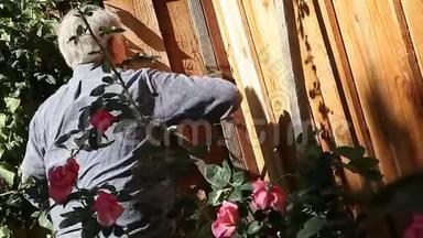 人用锤子钉在玫瑰花架上