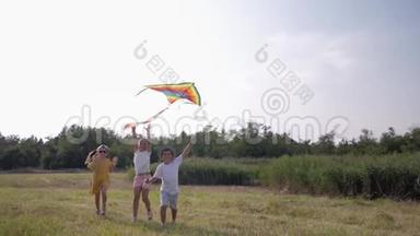孩子们带着风筝，满意的孩子在暑假期间在草地上玩得开心，蓝天和芦苇，概念