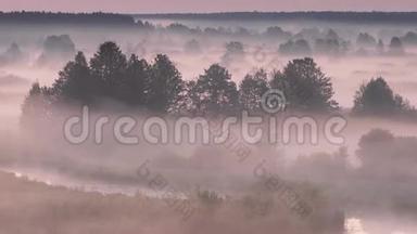 神奇的日出越过薄雾景观。 雾状的早晨天空，太阳升起在薄雾森林和河流之上