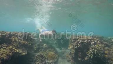 在热带度假时，人类正在海底的珊瑚礁上浮潜。