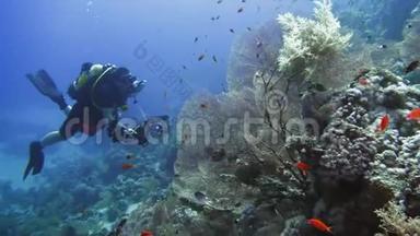 洞穴潜水水下水肺潜水员探索洞穴潜水。 埃及红海