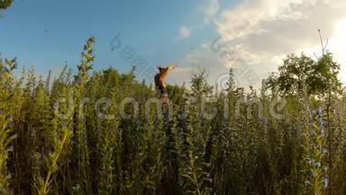女孩<strong>高举</strong>着手微笑着在野蓝色的花丛中挥舞着无数的蝴蝶蓝天晴朗的日子乌克兰大草原