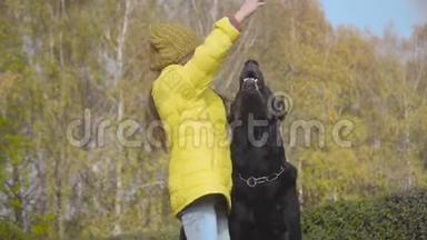 快乐可爱的白人女孩穿着黄色外套在户外和黑狗玩耍。 漂亮的大伯曼在他<strong>身边</strong>转