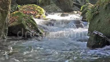 水流在小溪里.. 小溪里的小瀑布。 河水里的水很快。