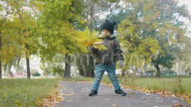 秋天公园里快乐的小男孩。 小孩子在秋步上玩耍。 秋天的树，有金色的叶子。