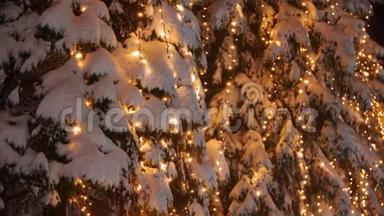 加兰灯照在圣诞树上。 <strong>除夕</strong>夜，街道上的杉树上`节日光照。 冬季