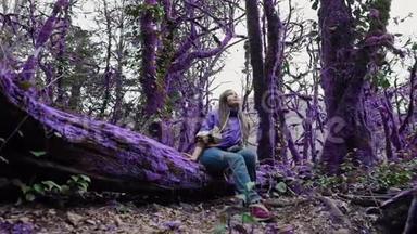 紫罗兰<strong>童话森林</strong>.. 穿着休闲装的快乐女孩坐在长满青苔的紫色树上，抬头看着一棵