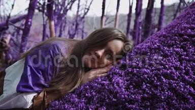 紫罗兰<strong>童话森林</strong>.. 穿着紫丁香夹克的漂亮女孩正睡在一朵柔软的紫色苔藓上