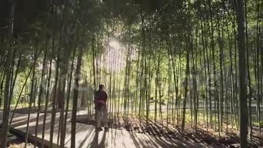 傍晚的<strong>阳光下</strong>，美丽的姑娘正沿着竹<strong>树林</strong>的小巷散步