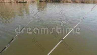 三根鱼竿中有一根是用鲶鱼拉出的。 清晨钓鱼。