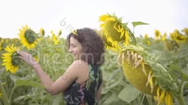 可爱的卷发女人走在向日葵的田野上。 明亮的黄色。 自由概念。 户外快乐的女人。 慢慢