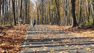 一个人在铺满树叶的柏油路上爬上一条长板