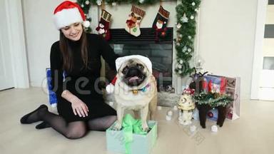 带圣诞礼物的搞笑小狗，女<strong>主人</strong>戴着圣诞老人的帽子，新年和圣诞节