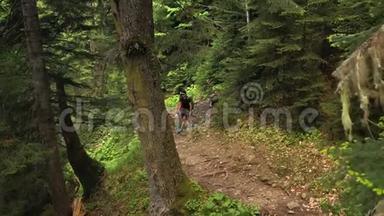 带着背包徒步穿越<strong>森林</strong>的<strong>游客</strong>。 男子携带婴儿徒步旅行