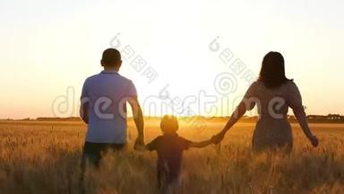 一个幸福的家庭在日落时穿过麦田。 父亲和母亲牵着儿子`手。 家庭假日。