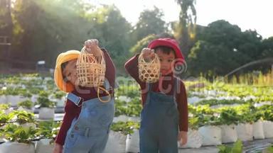 可爱的女孩兄弟姐妹在有机草莓<strong>农场</strong>在阳光日玩。 假期<strong>儿童</strong>户外活动