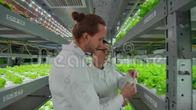 两位科学家，一男一女穿着白大褂，把植物样本放在试管中，以便找出
