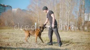一只驯兽师德国牧羊犬给驯兽师带来了抓地力