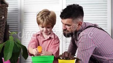 种植和爱护植物.. 可爱的孩子帮助他的父亲照顾植物。 爸爸和儿子从事园艺工作