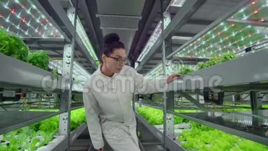 摄像机沿着货架穿过走廊，在一个现代化的农场上摆放着蔬菜和草药