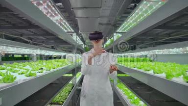 垂直水培人工林一名身穿白大褂的妇女使用虚拟现实技术模拟