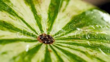 特写4k水滴落在绿色成熟西瓜上的视频.. 完美的有机食品和健康的抽象镜头