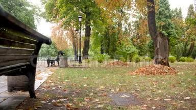 秋季公园雨后空凳和小径4k多利视频