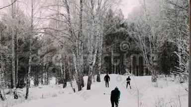 冬季滑雪。 滑雪。 冬天从山上滑雪。