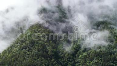 美丽的<strong>视频</strong>云从山上的<strong>山峰</strong>流动和飞行在热带雨林在山谷。 完美的背景或