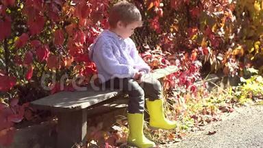 秋天大自然里穿毛衣的漂亮孩子。 温暖的秋天阳光明媚的天气。 可爱的小男孩在秋天公园玩得开心
