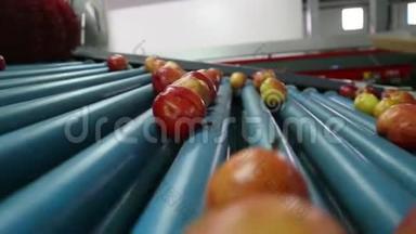 食品加工设施传<strong>送</strong>带上清洁新鲜的<strong>苹果</strong>，准备自动包装。 健康水果、食物