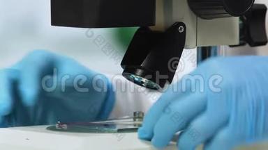 做血液生化分析，基因检测，特写的女科学家
