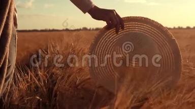 一只雌卷着麦子在地上行走阳光透过草帽照射