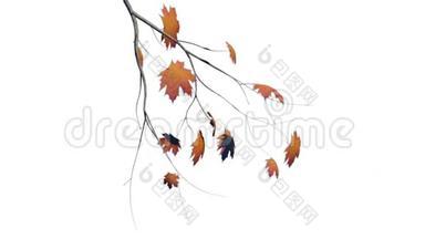 动画橙色树枝在秋天的白色背景上。