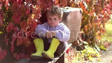 有黄叶的宝宝。 温暖的秋天阳光明媚的天气。 秋天公园里的小可爱男孩。 投掷黄色和<strong>红色</strong>的<strong>儿童</strong>