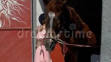 一个穿着粉红色连衣裙和骑马头盔的年轻女孩在骑马前用湿布擦拭一匹棕色的马。 动物护理。 4k. 4k视频