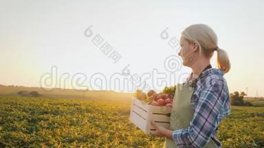 一个带着一盒蔬菜的年轻农民穿过田野。 农产品