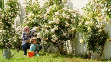 可爱的小男孩在夏天的花园里<strong>浇花</strong>。 在花园里<strong>浇花</strong>。 祖父和孙子的肖像